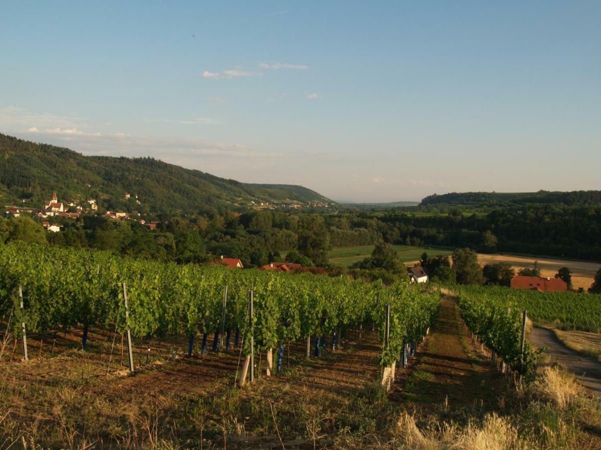 Tiny Guesthouse Kamptal Schönberg am Kamp Εξωτερικό φωτογραφία